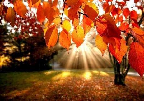 COLORI D’AUTUNNO